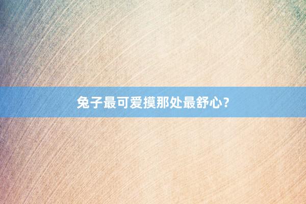 兔子最可爱摸那处最舒心？