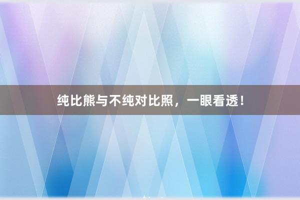 纯比熊与不纯对比照，一眼看透！